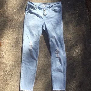 Wild blue size 5 jeans